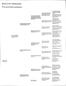 Major's father Mr.Hollywood