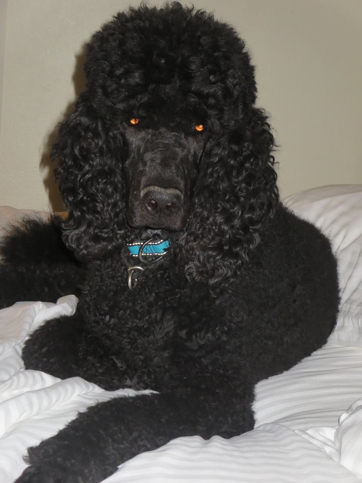 SKY...Knoxville, Tn.