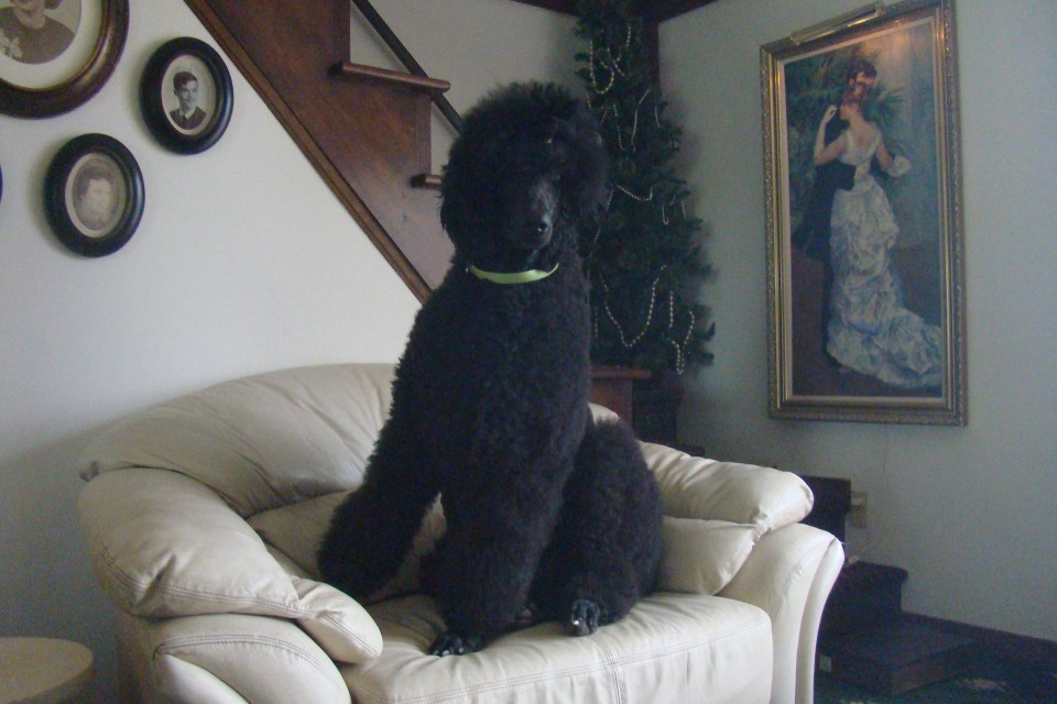 Abby... Bristolville, Oh.