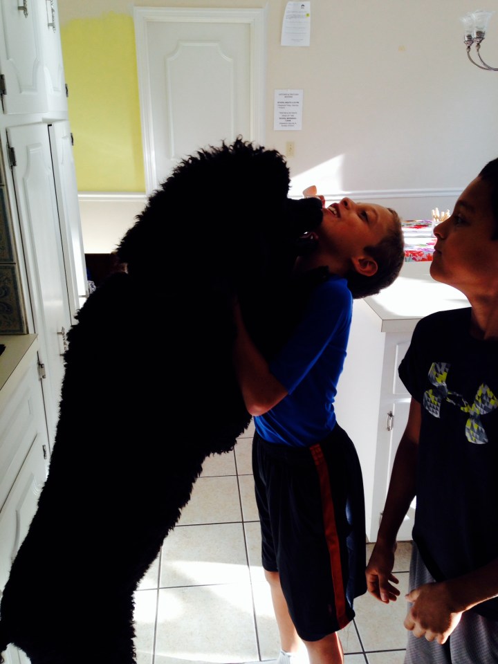 Jaggar and theJaggar & Boys canfield, Oh. at 14 months