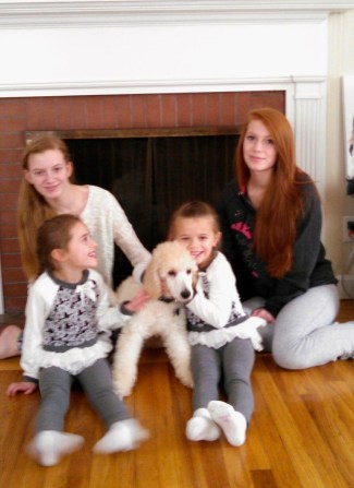 IMG_20141229_141955_486-1 - Version 2