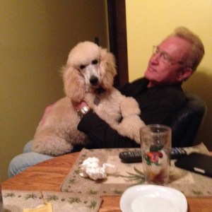 Diamond on David's lap after her big girl hair cut. 