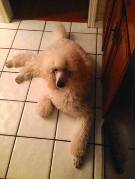 Wynter kicking back. 