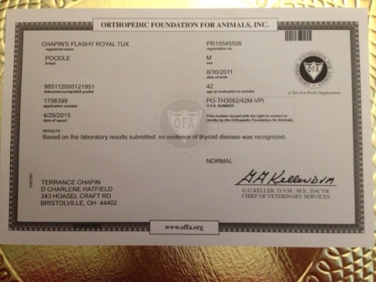 Flash Thyroid Test: CLEAR