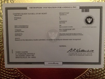 Bella's Thyroid Test: NORMAL