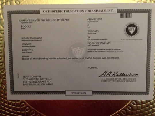 Bella's Thyroid Test: NORMAL