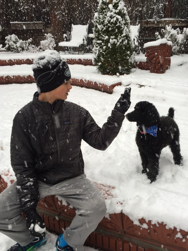 Roxy playing with his family in Ne. 