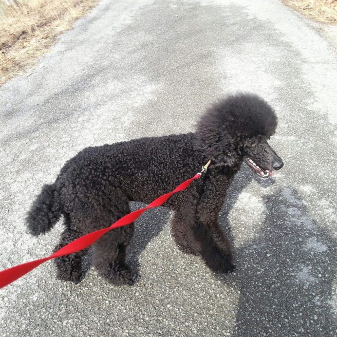 Angel , what a beautiful girl.