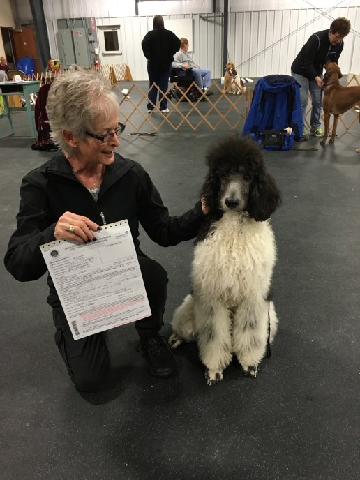 Lori and Picasso after passing his CGC. 