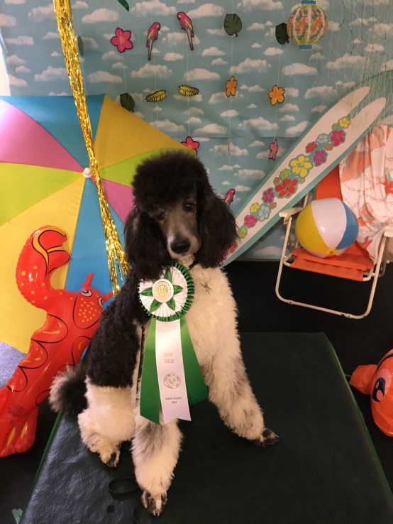 Picasso's new Title is: