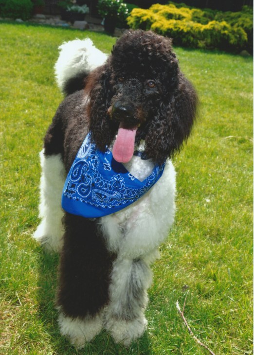 Cass , May 2016 in his summer photo shot with family.