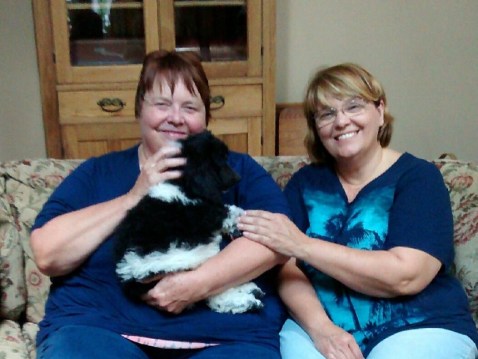 img952016090795125329912-version-2