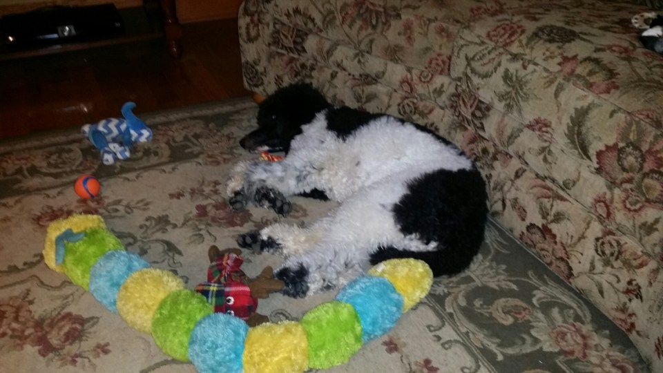 20170115_230115_resized