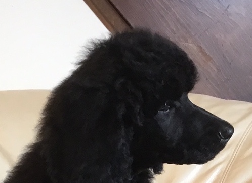 IMG_5154 - Version 2