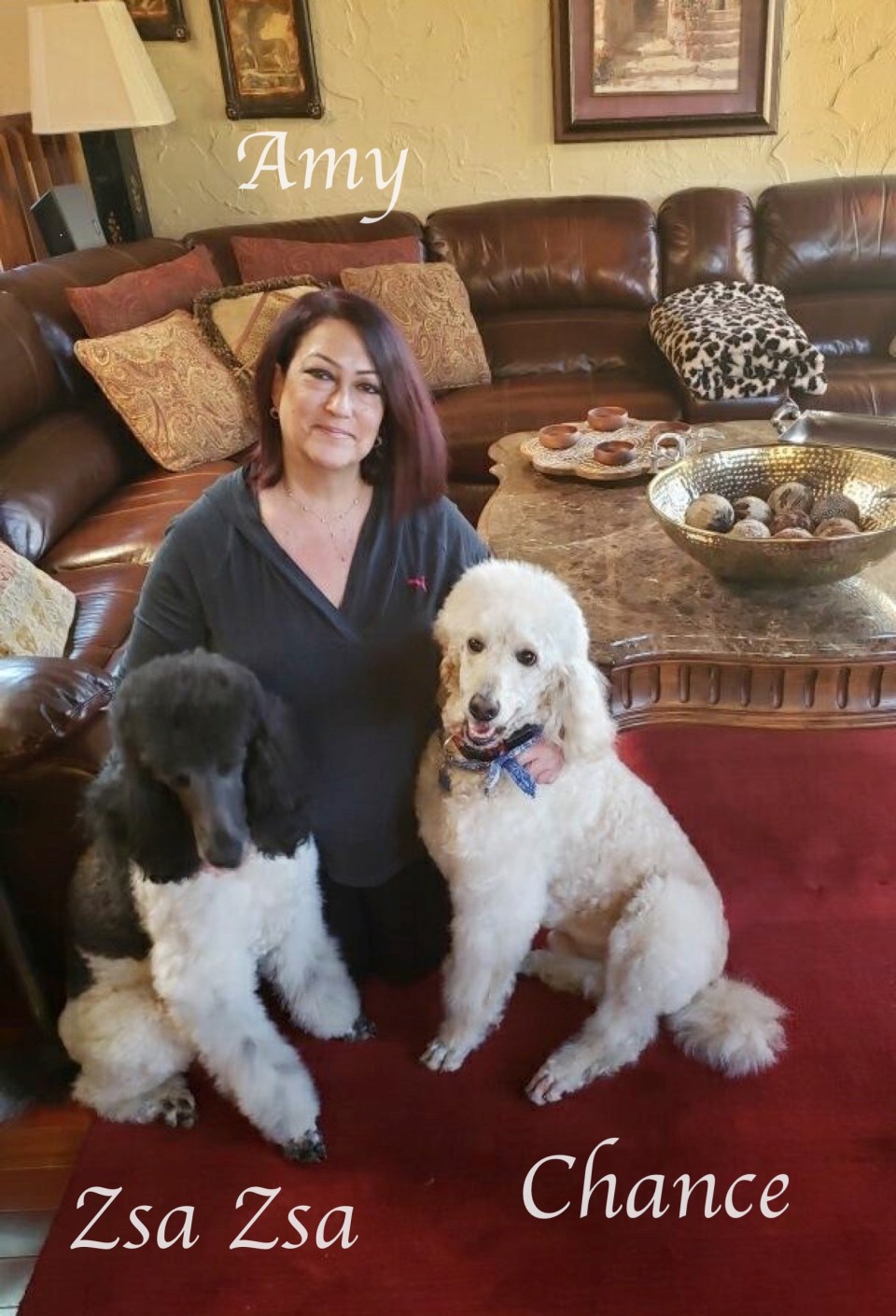 zsa zsa,amy,&amp; chance