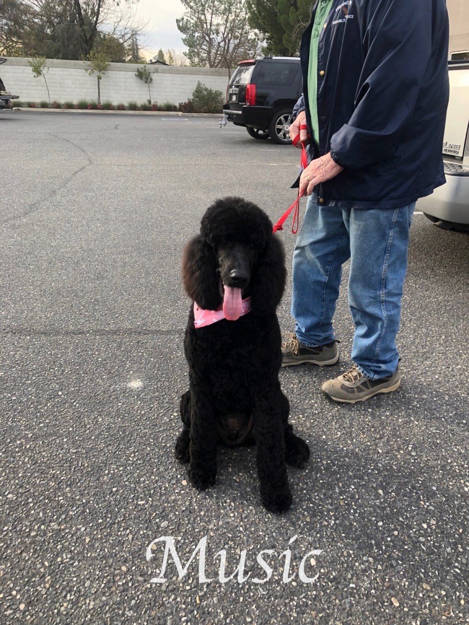 IMG_6943MUsic first cute