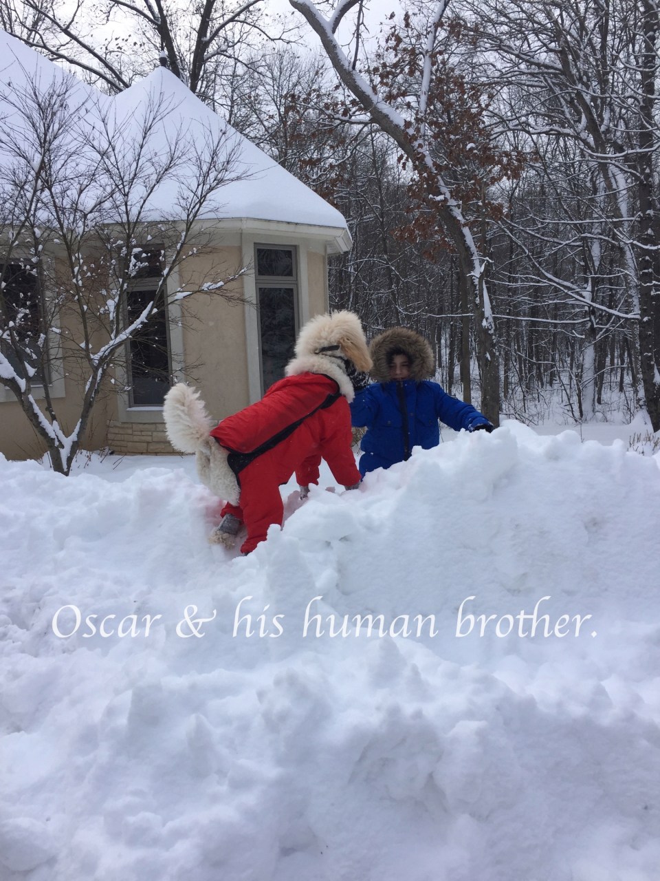 Oscar &amp; his human brother.