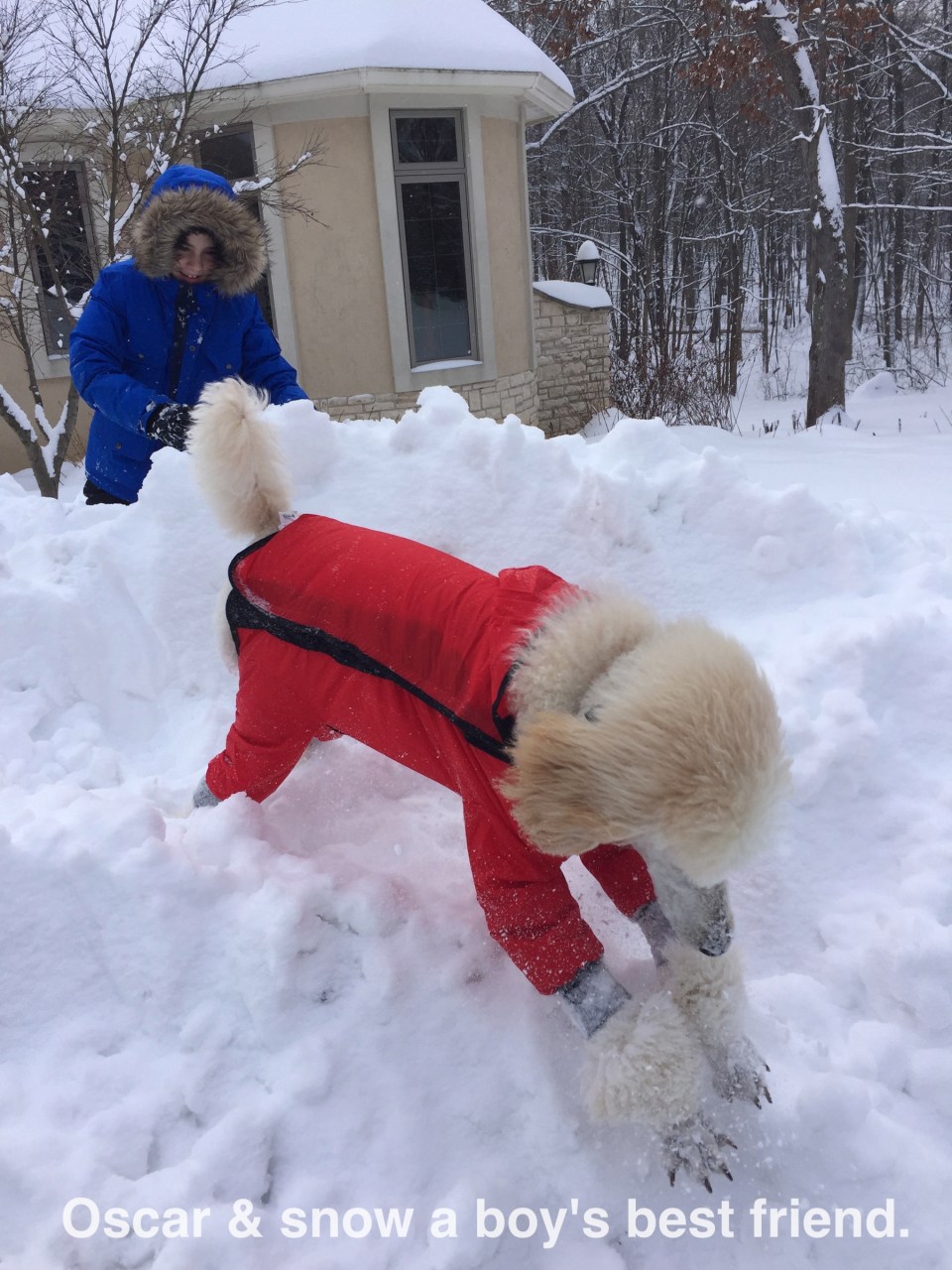 Oscar &amp; snow a boy's best friend