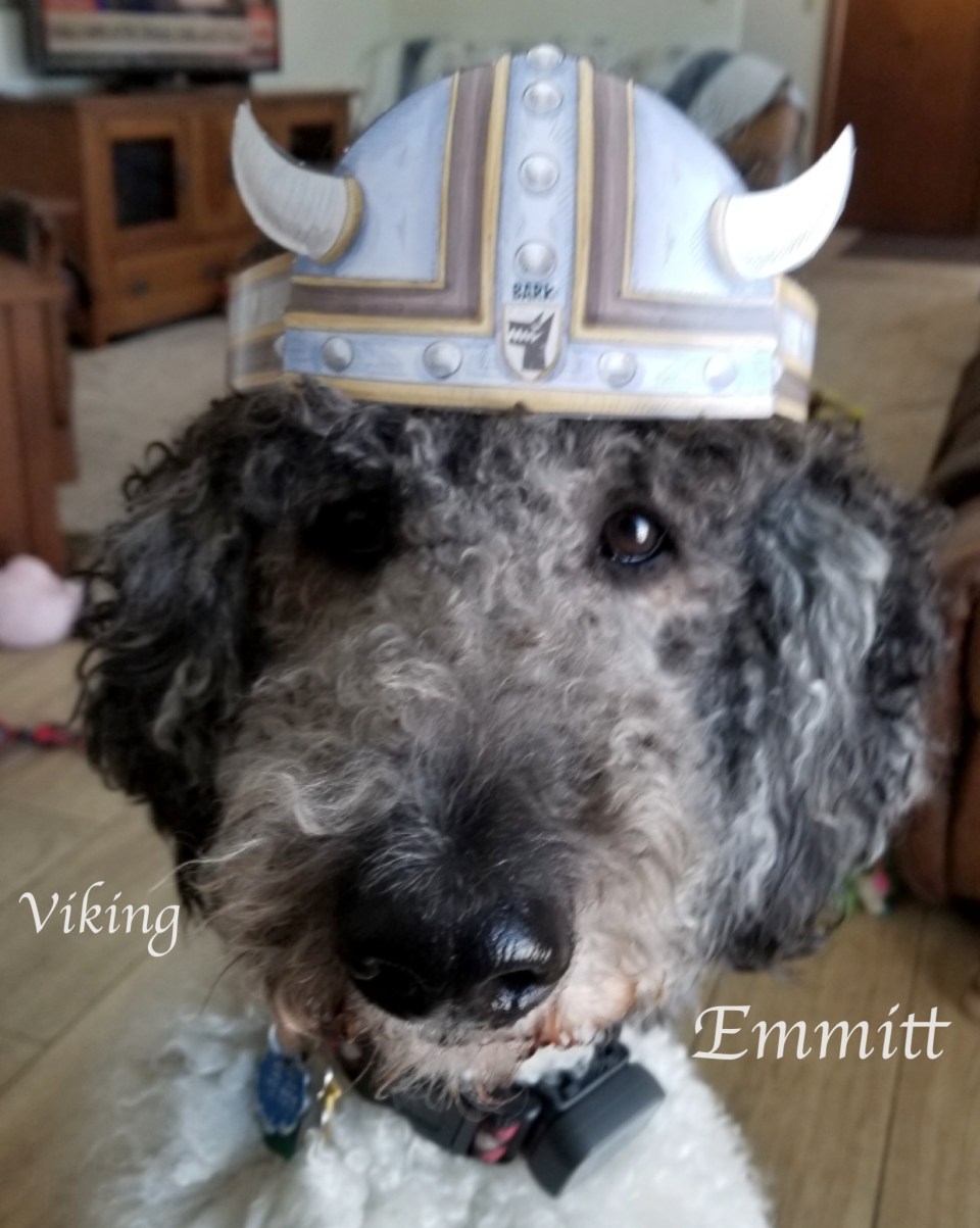 Viking Emmitt