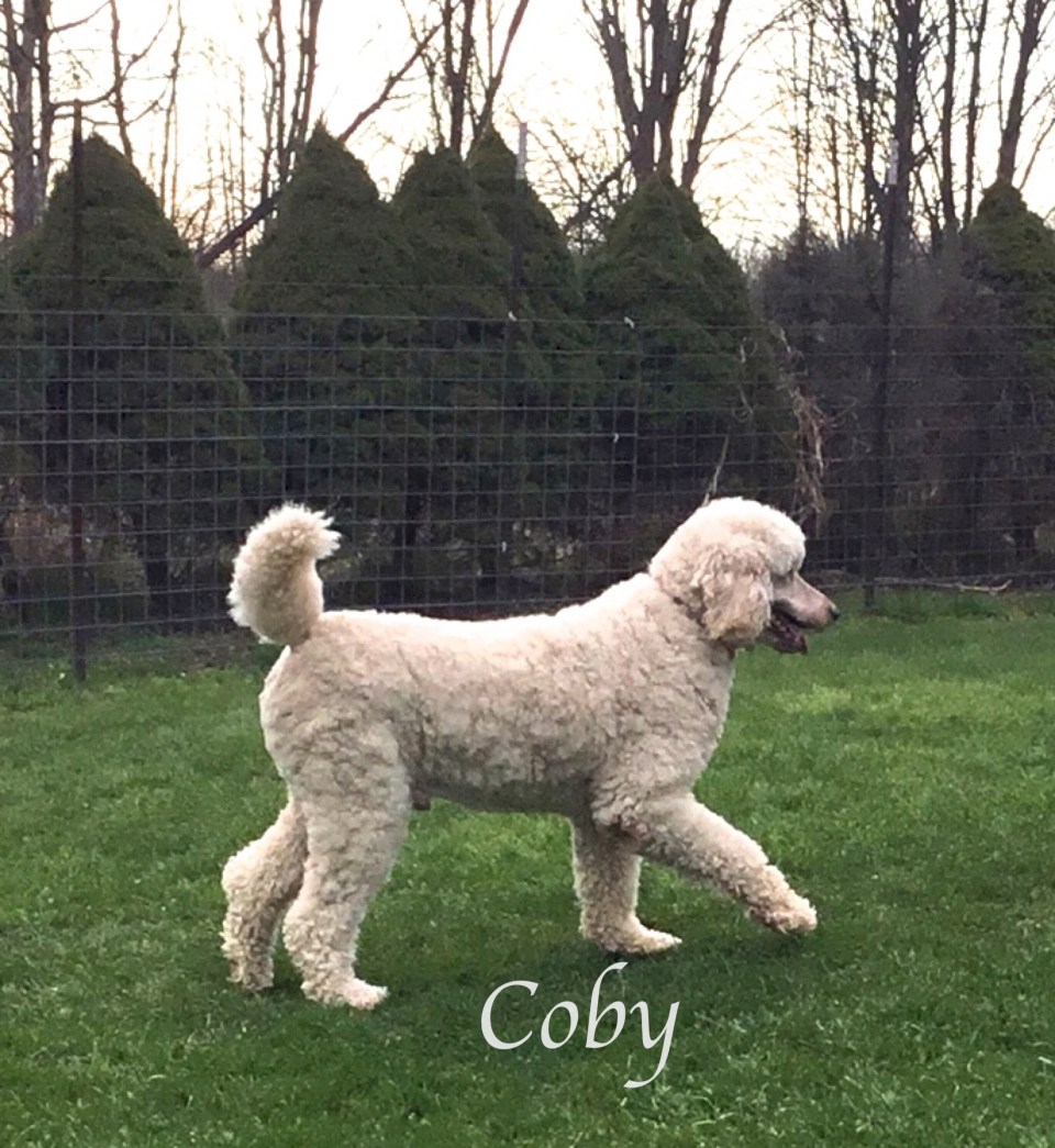 IMG_3575 - Version 2COBY