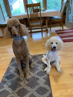 36C331F6-2368-489B-BA3B-4388862D8F3B