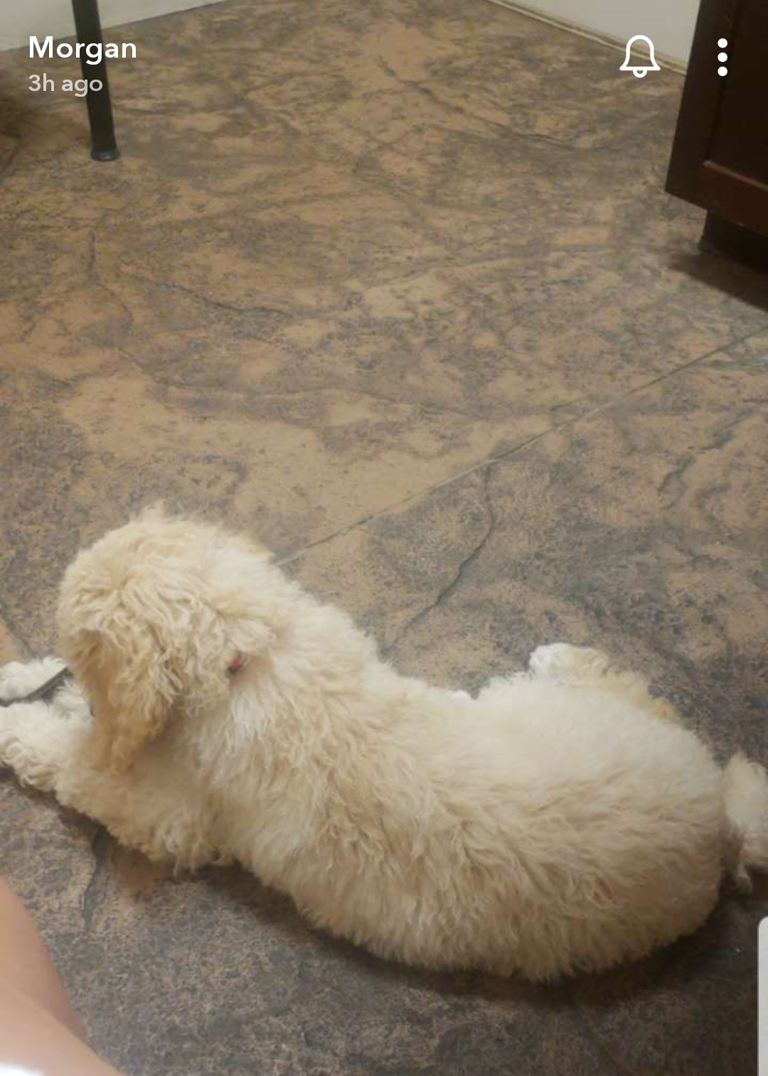 Screenshot_20190829-173611_Snapchat