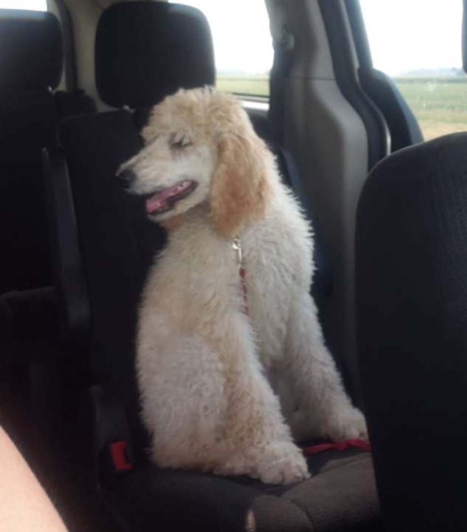 Screenshot_20190920-155911_Snapchat