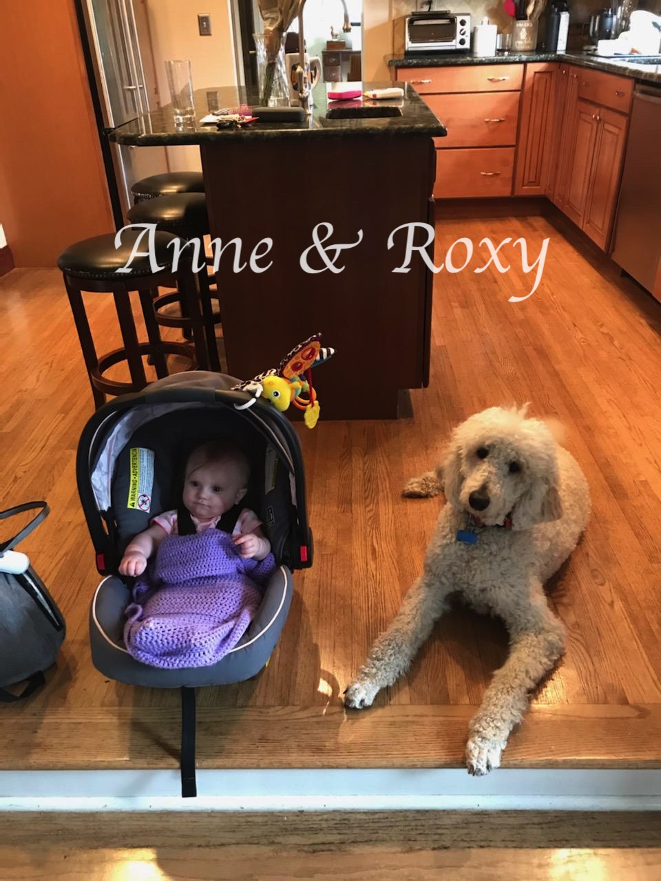 Anne & Roxy Kitchem