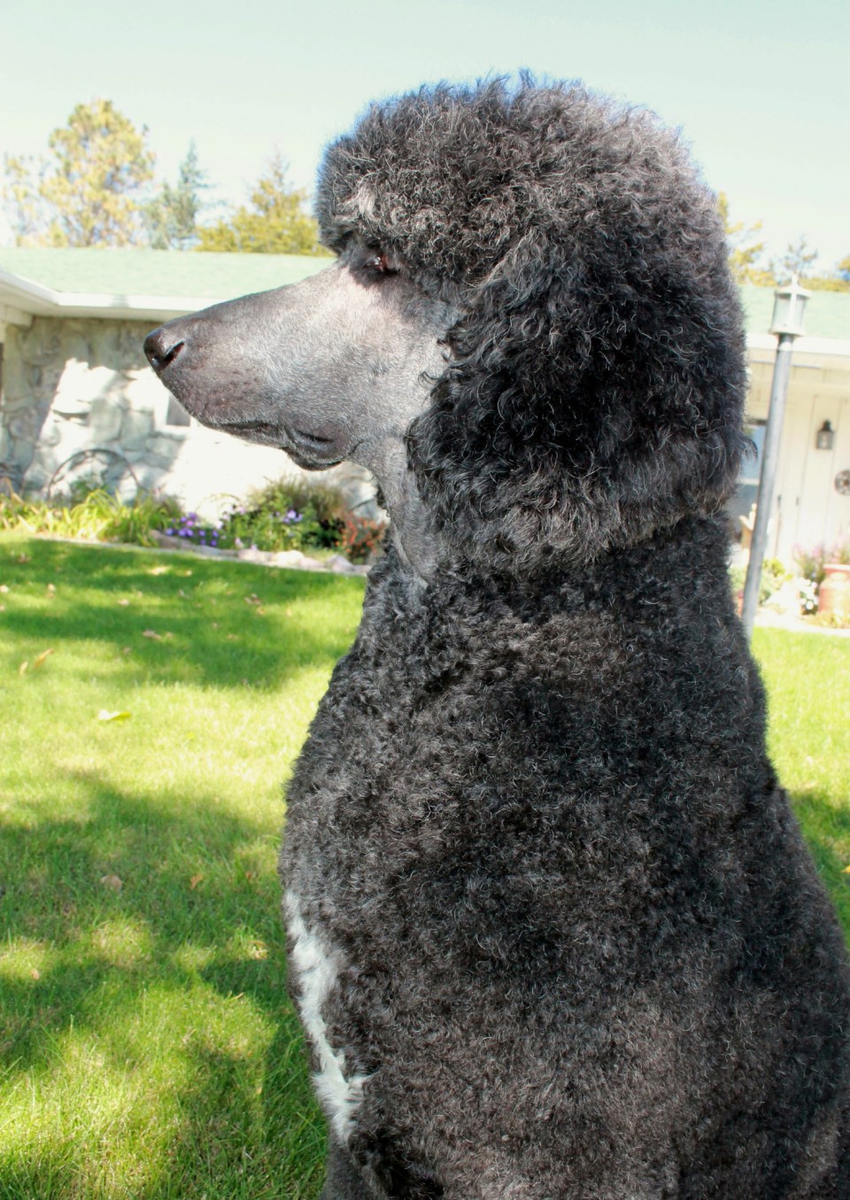 34FBCA8D-FF0C-4D42-B21D-3933F9D41BF1