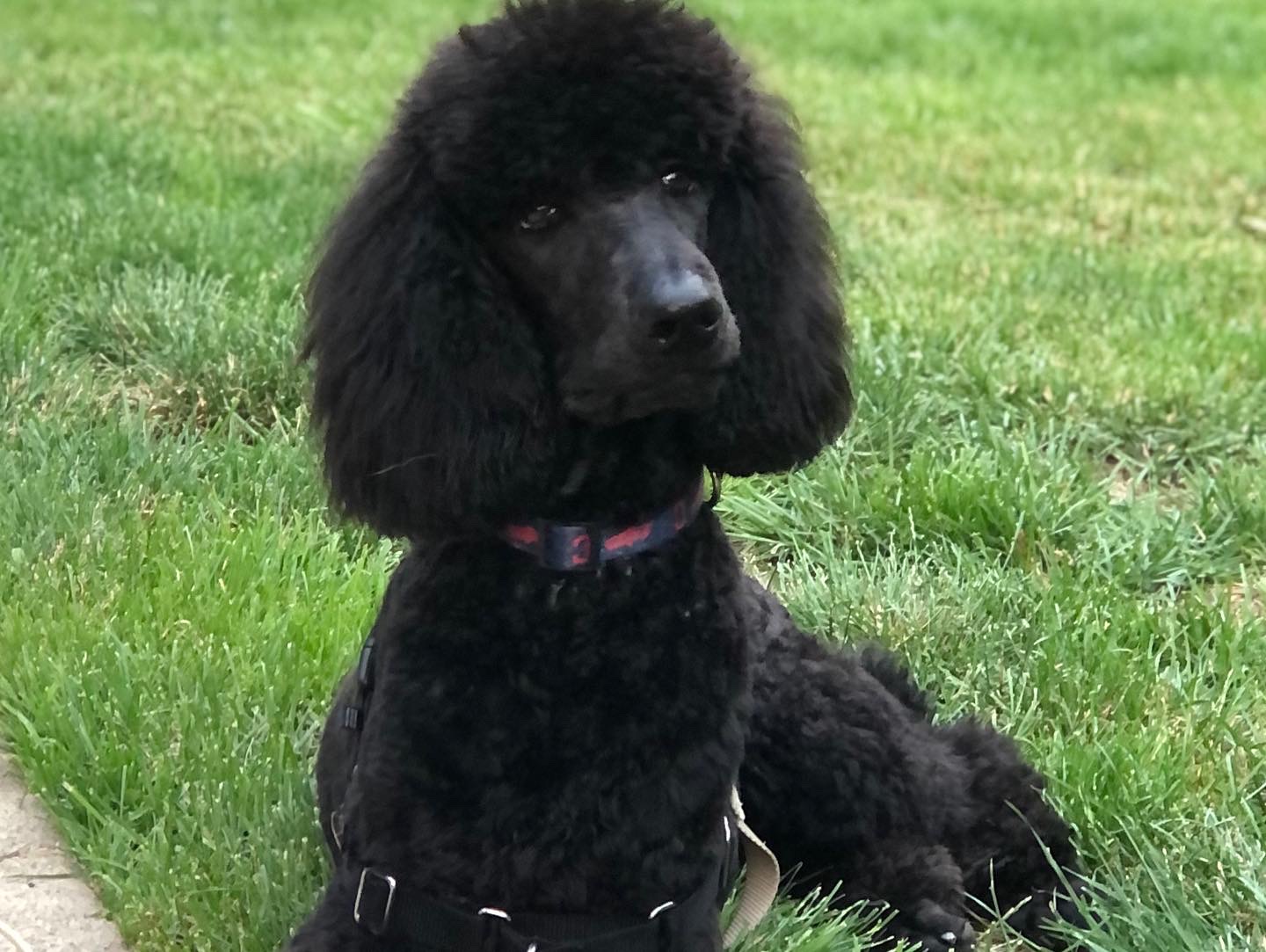 8AE1E4CB-0949-432E-B22C-D4365DFADD50