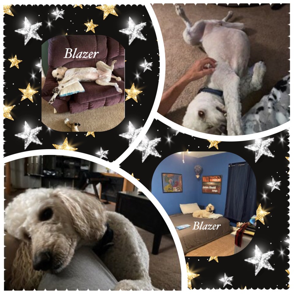 9F9DB012-712A-42DA-BE0E-A13A43AC3C46