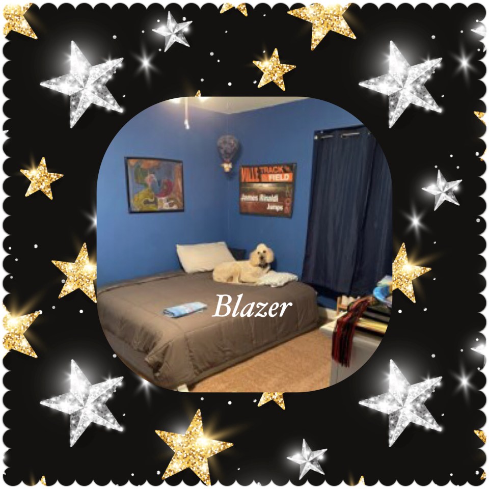 A09D620F-5FA4-4DBB-9F35-C695B6ED433E