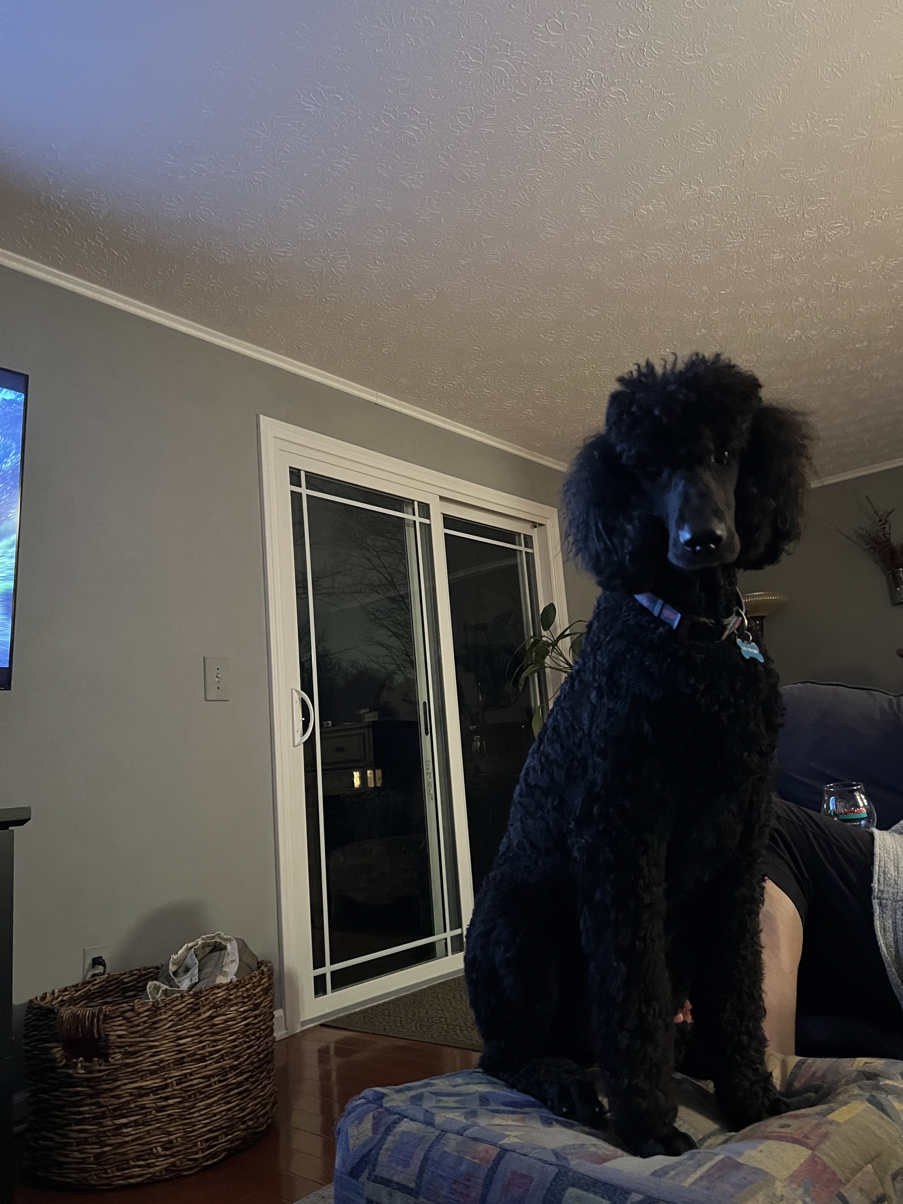 AA8F79AB-DFAA-4924-ADB3-25C7BB13B185