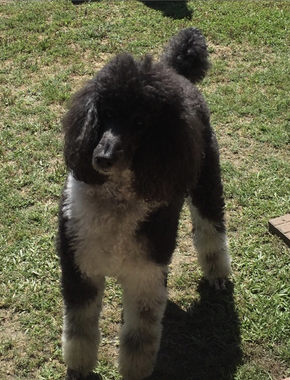 D307C4BC-10A4-4F37-B9A2-E3DD0235B493