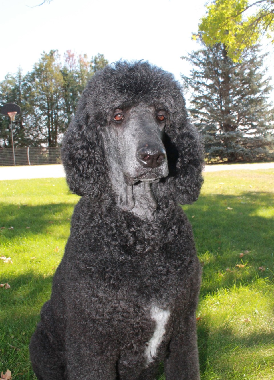 F1D742B1-FA5E-4148-B5E4-AB7A41411714