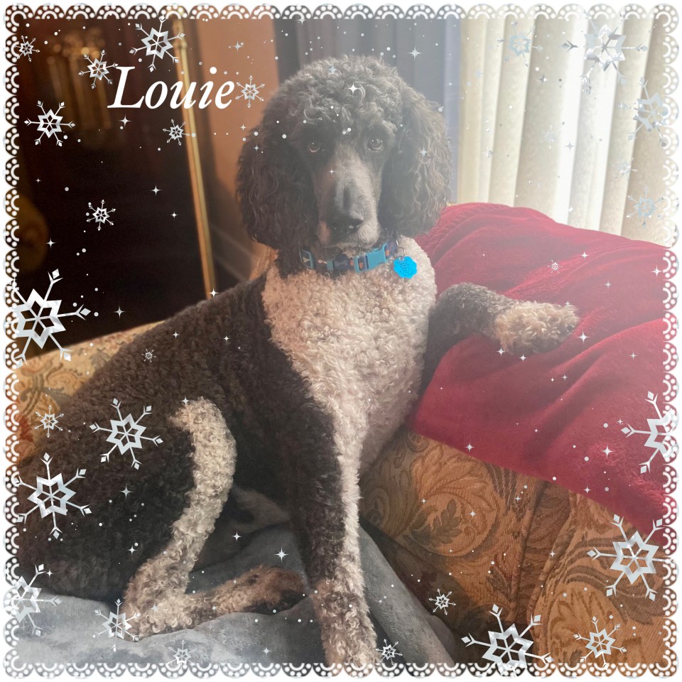 3A95A9F5-B6C8-42E9-9283-4A0D6A1912A9