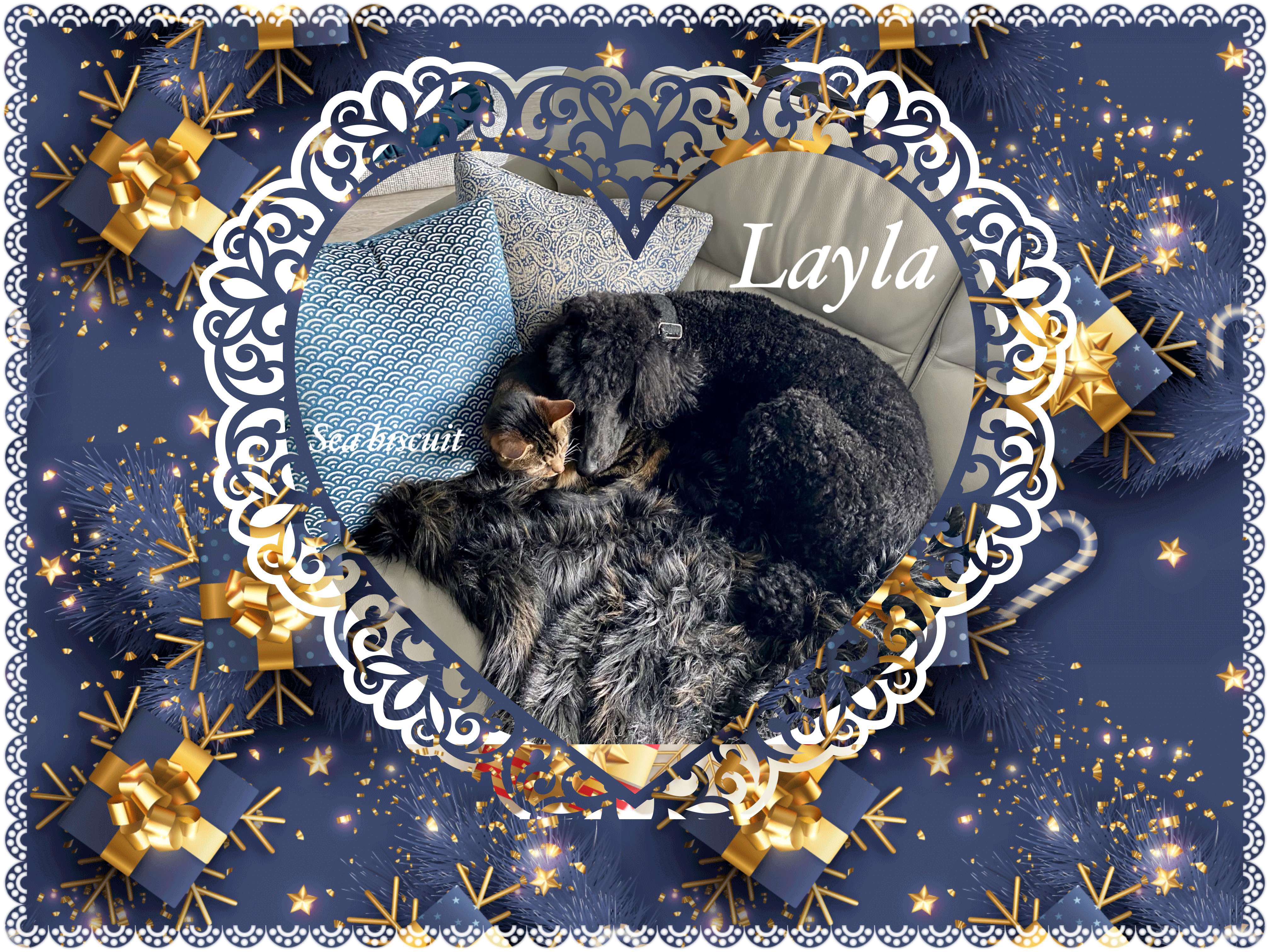 3ED87A4E-EFED-4148-BC6D-5B9249671115