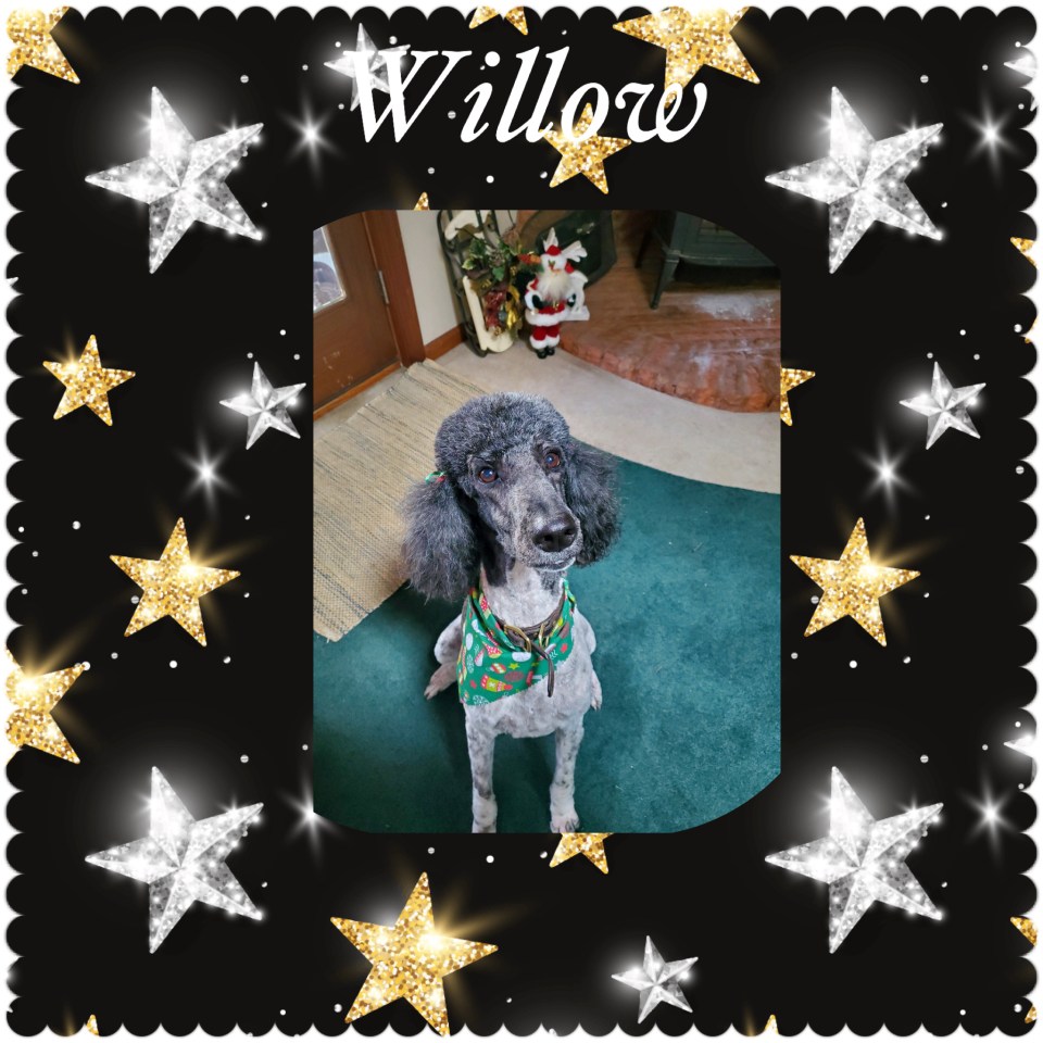 78936E2F-AC5F-473E-82EE-B14F4BD428BB