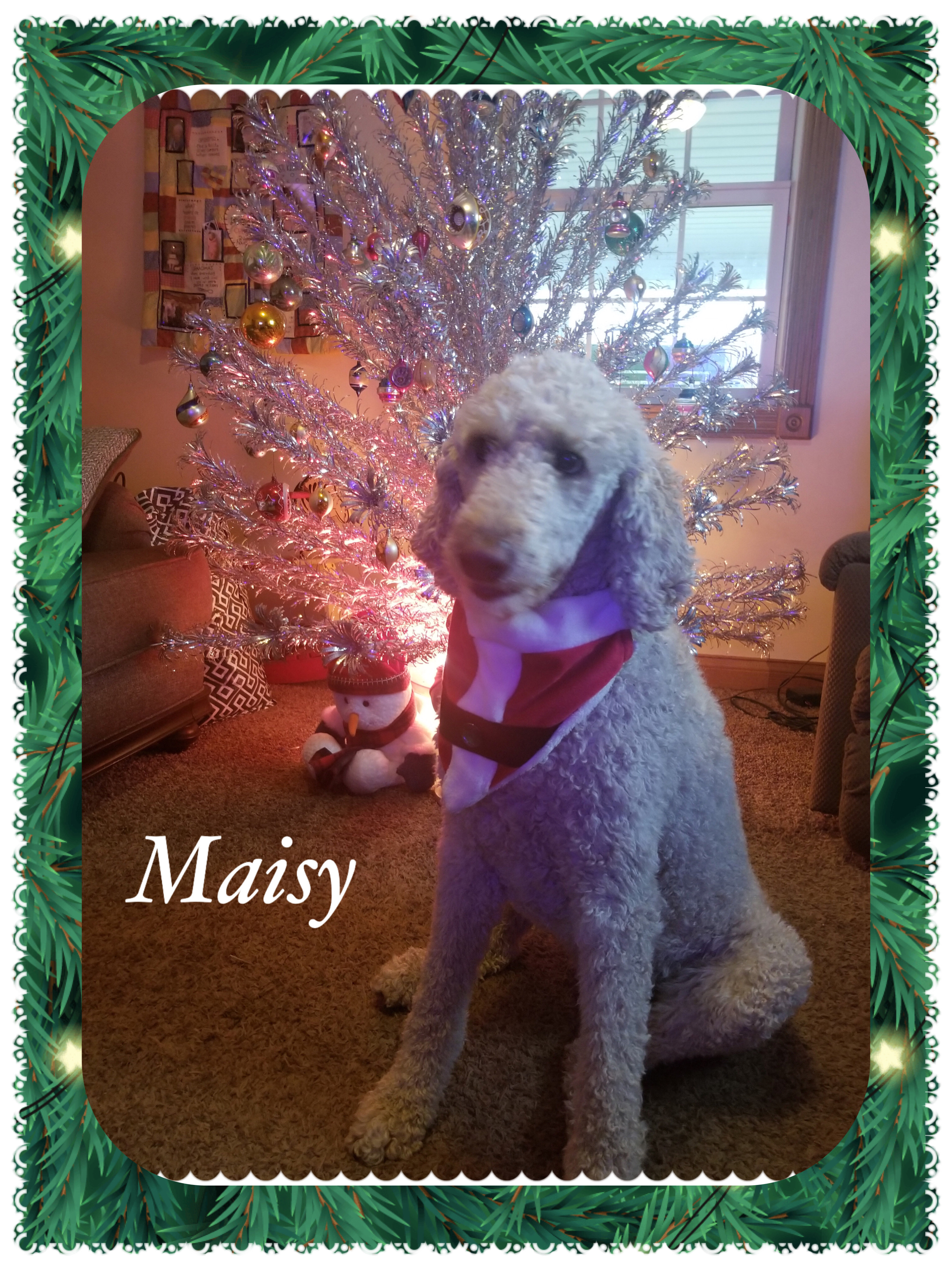 AB18DBA0-A6DA-46CB-B860-AFD61DBBDA69