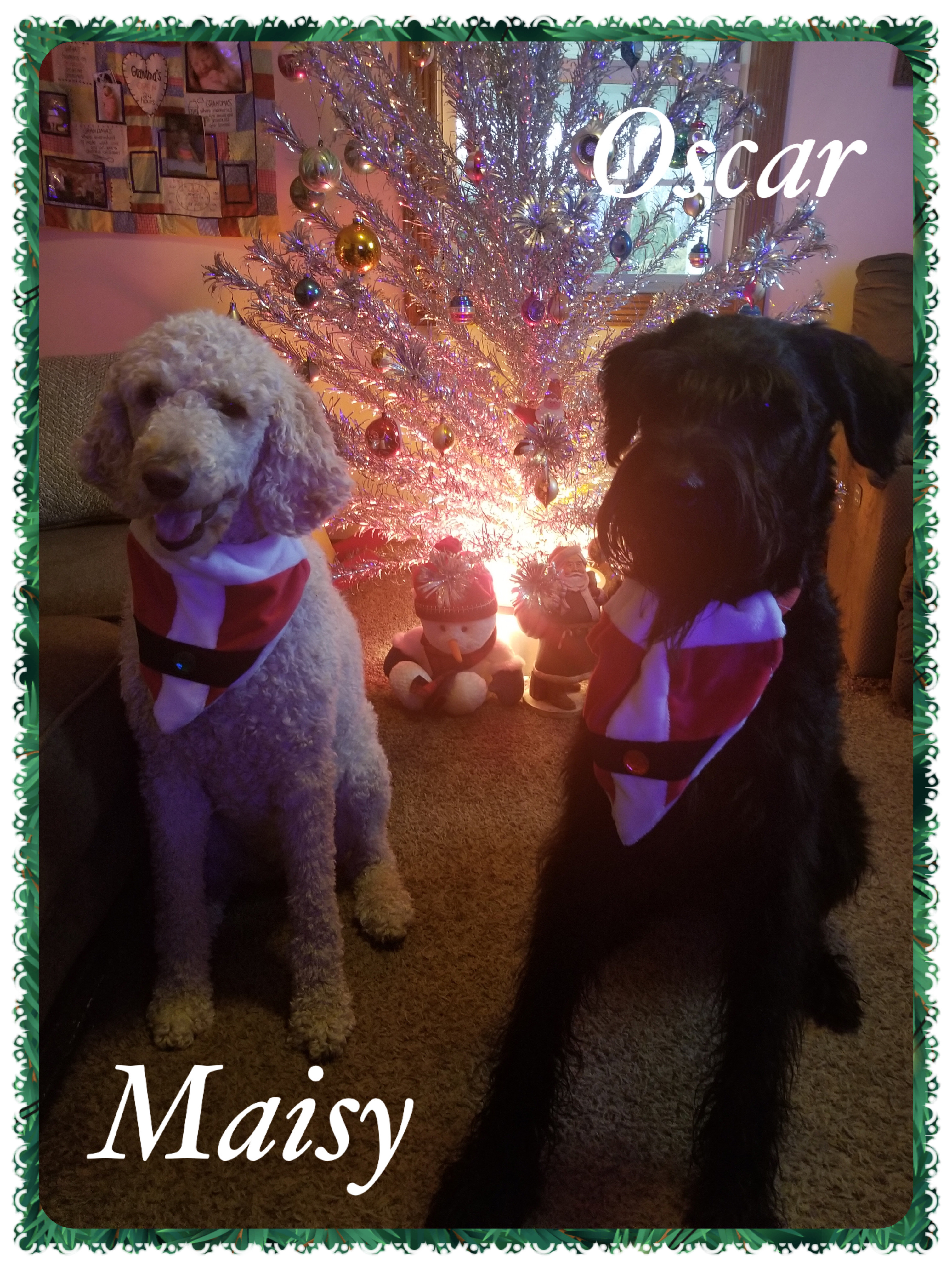 BDFF4A25-4692-4A09-95DB-681E1F3CA99E