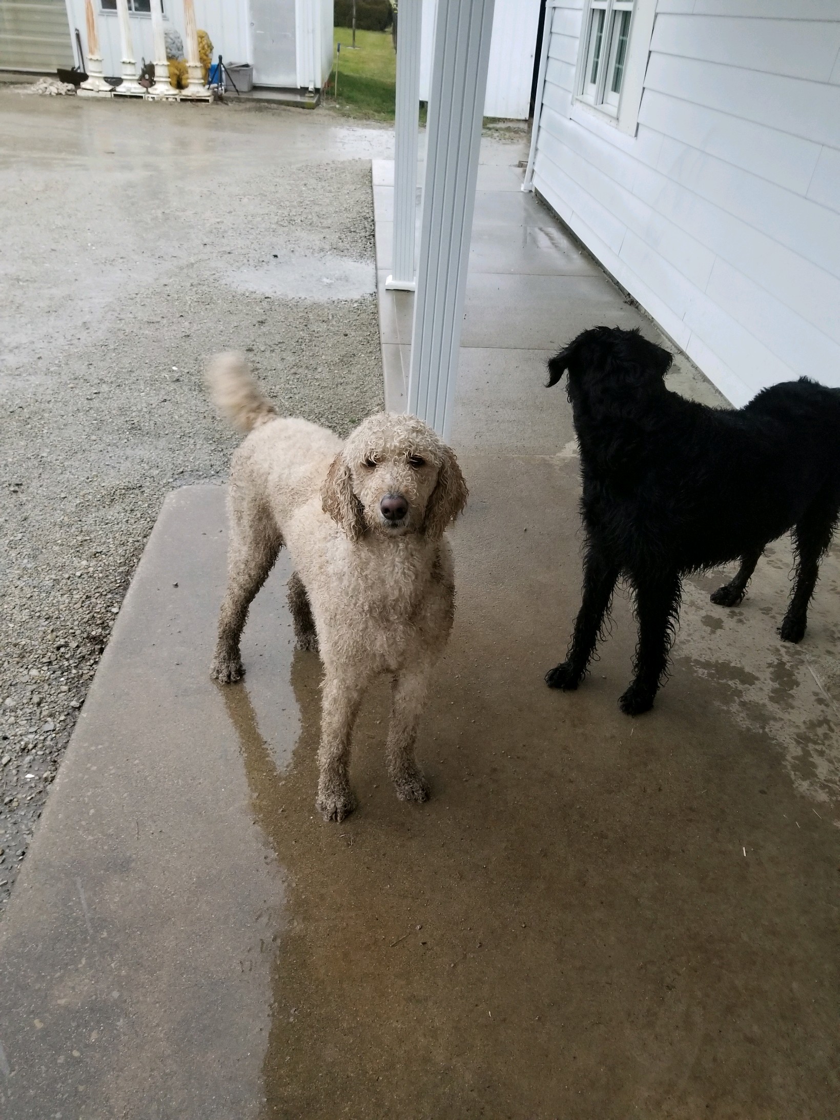 CA8C3951-28CB-440C-A062-E9D12FAA7A28