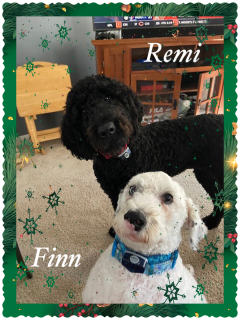 f3c76529-5ea6-4b25-b1ac-e7c7df8c6389