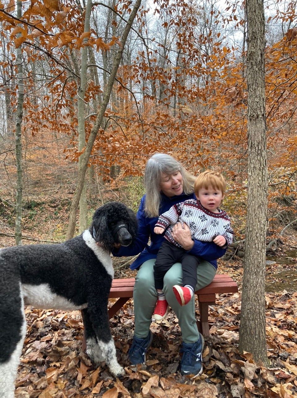 F991ADB7-B583-41E7-9F0C-CB0BD55AA028