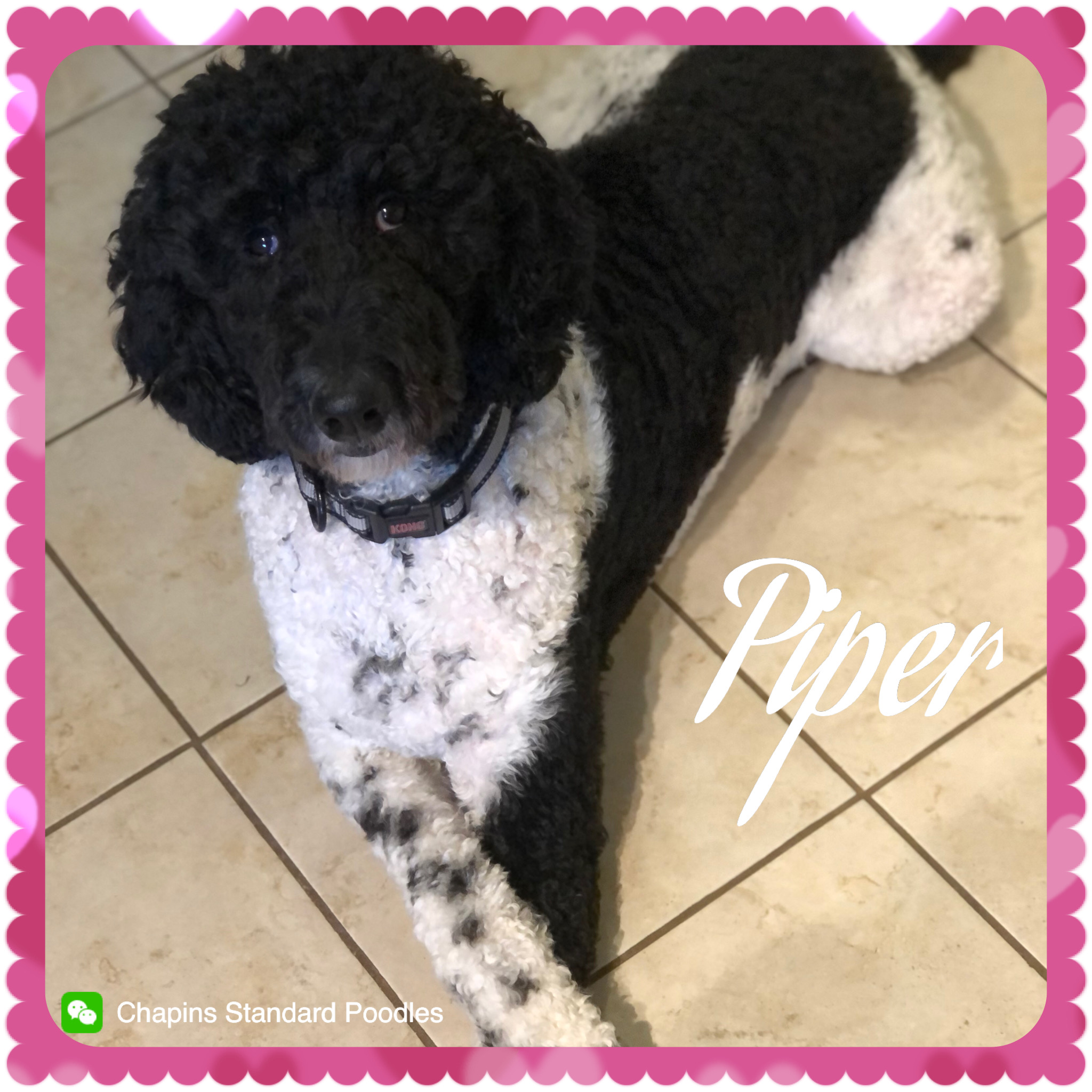 1FF1EB5C-2012-4429-9D34-F220456D1F4F