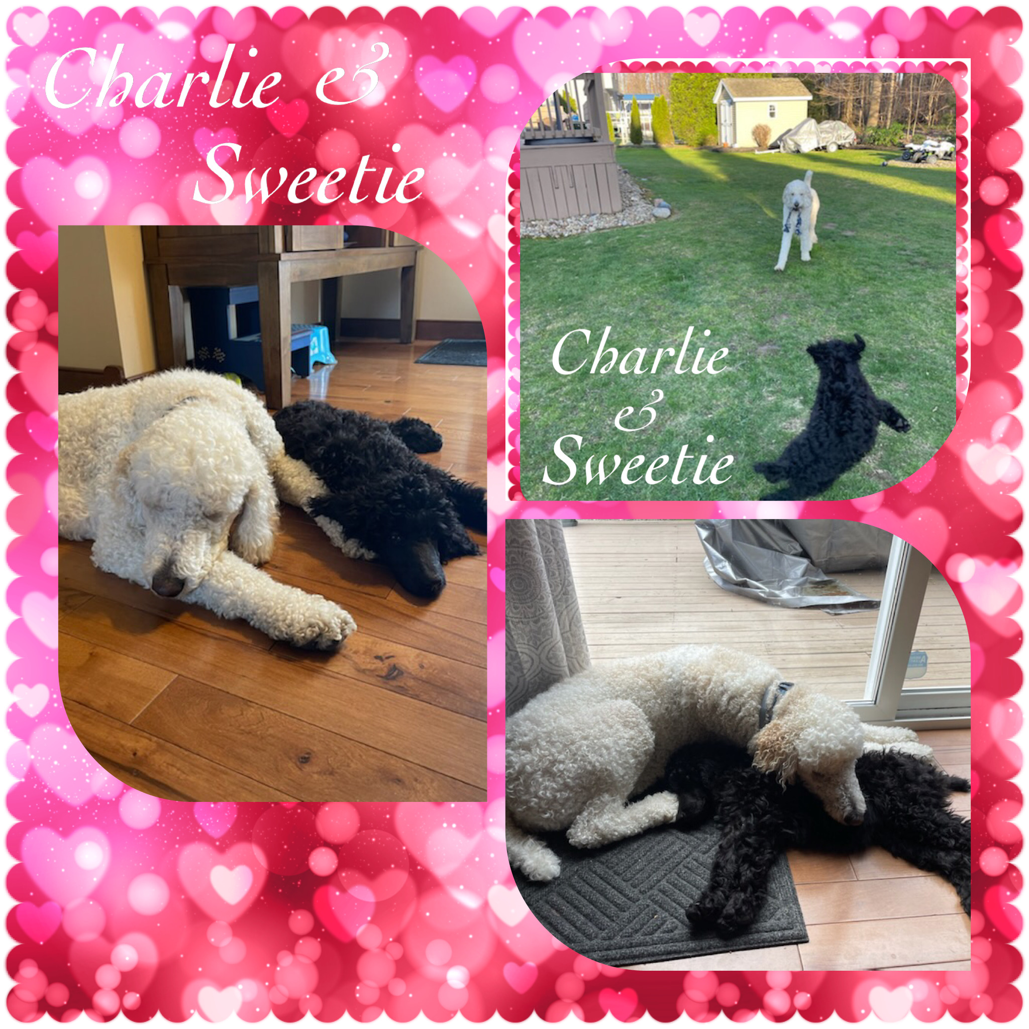 33932B88-BF9B-4AB6-83C3-DC0CBD5DD4A4