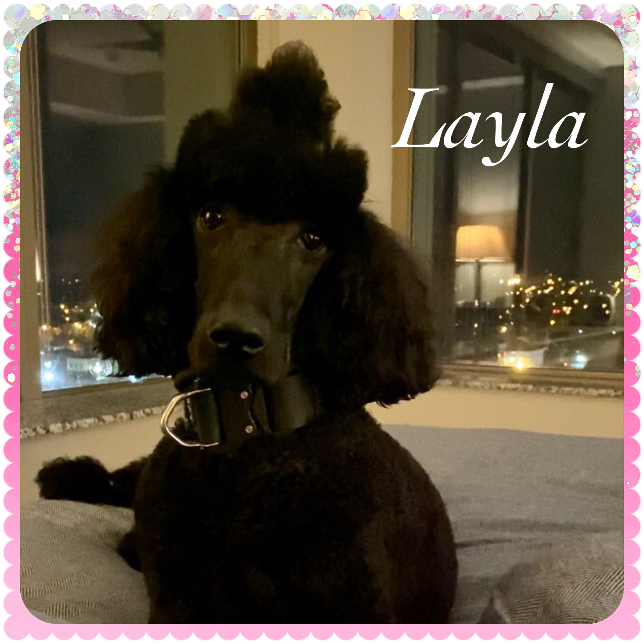 533190B6-729B-4F77-BF2D-BDA27D4E5189