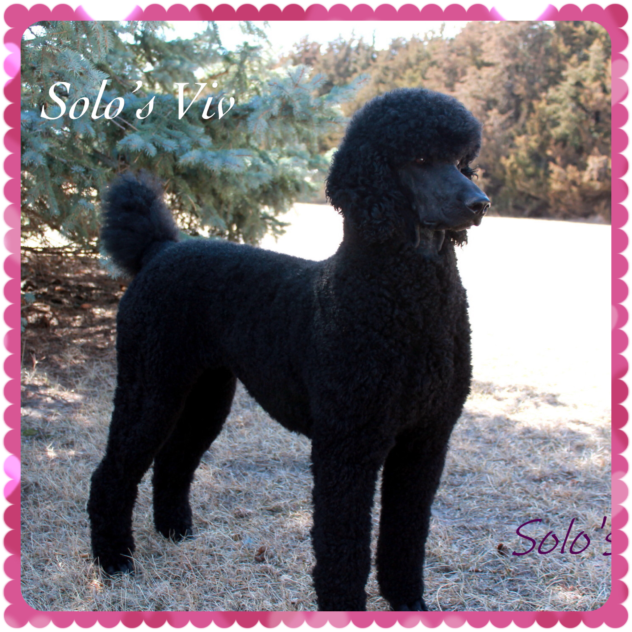 9FDED7E9-7DE8-47B0-8798-FDC7F099CF85