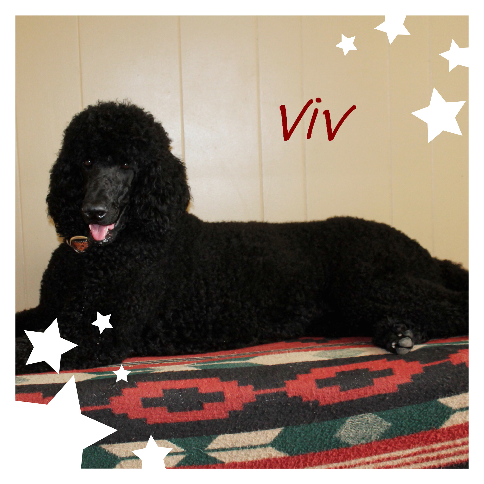 5C86E58B-B812-4ABC-9337-3603F215FC8C