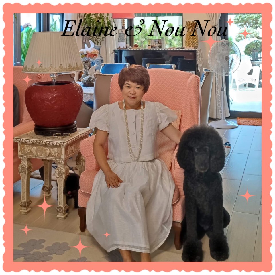 2FCF92B6-A681-4445-8B81-03D47A547C57