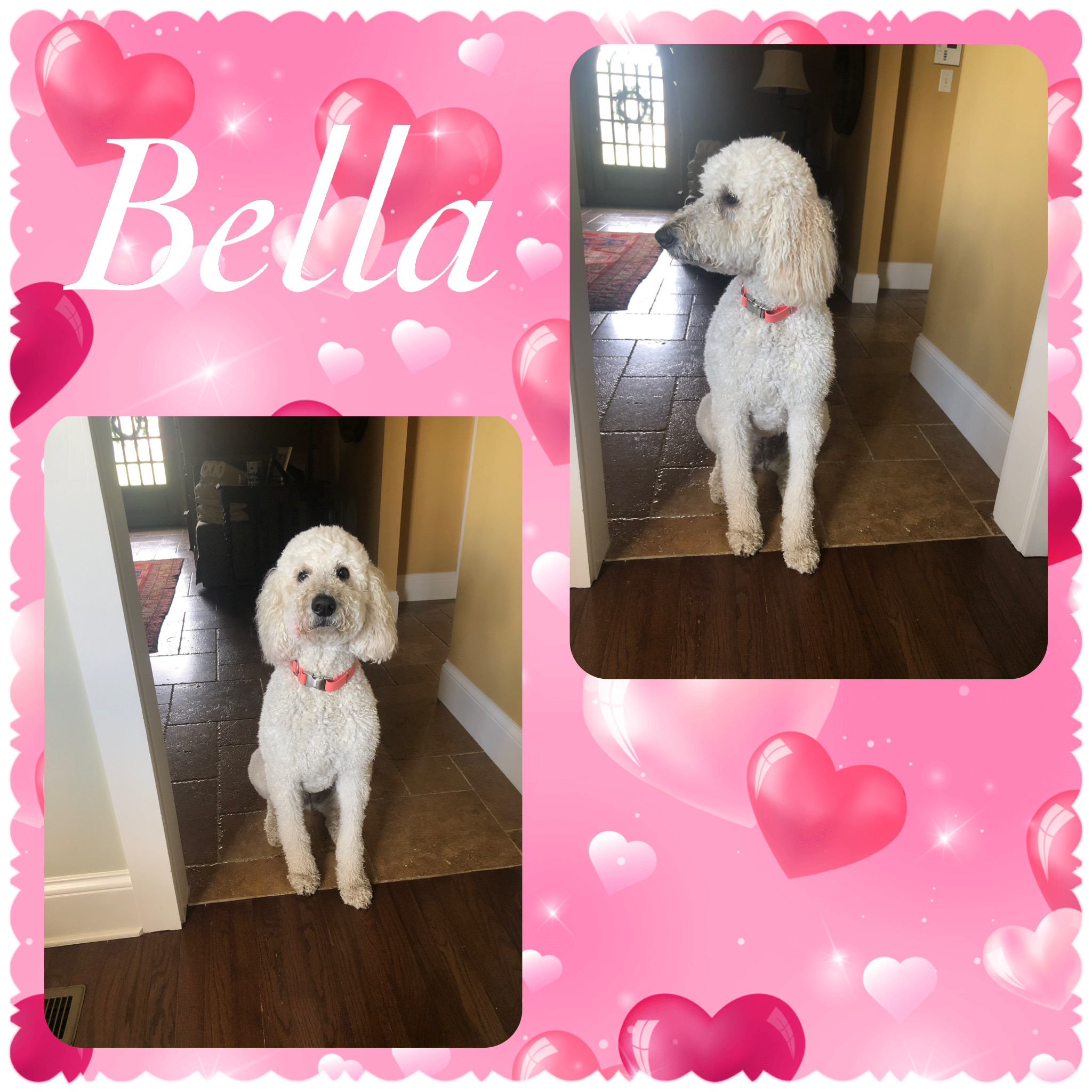 1E2FC07C-A0C0-47E4-81A7-18CB7E8EA783